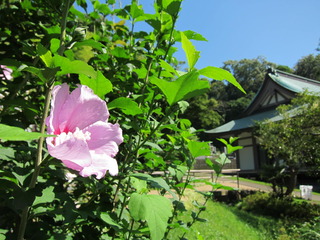 IMG_1281.JPG