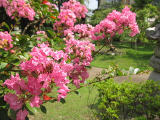 IMG_1703.JPG