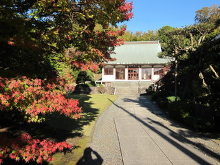 IMG_1753.JPG