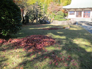 IMG_2780.JPG