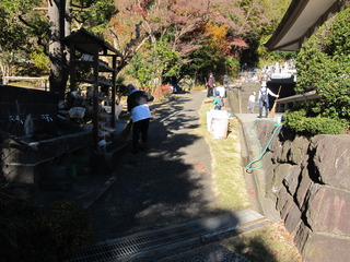 IMG_2782.JPG