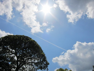 IMG_6375.JPG