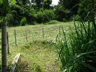 IMG_6536.JPG