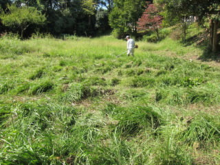 IMG_6777.JPG