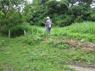 IMG_7591.JPG