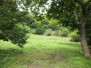 IMG_8840.JPG