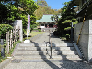 IMG_9611.JPG