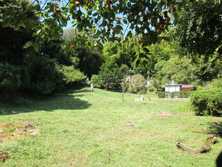 IMG_9894.JPG
